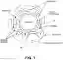 Fig. 13 - Optical coherence tomography for biological imaging