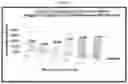 Fig. 16 - Methods and systems to determine cancer molecular subtypes based on ultrasound and/or optoacoustic (OA/US) features