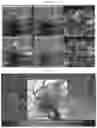 Fig. 19 - Methods and systems to determine cancer molecular subtypes based on ultrasound and/or optoacoustic (OA/US) features