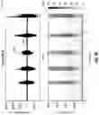 Fig. 08 - Sensor fusion to validate sound-producing behaviors