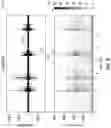 Fig. 12 - Sensor fusion to validate sound-producing behaviors