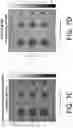Fig. 16 - ULTRASOUND IMAGING USING COMPLEMENTARY CODES