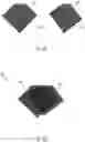 Fig. 06 - Interventional ultrasound probe