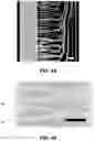 Fig. 06 - APPARATUS AND METHOD TO ISOLATE SPERM BASED ON PLANAR-CONFINED SWIMMING