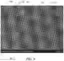 Fig. 06 - Low normal force retracting device comprising a microtextured surface