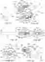 Fig. 09 - Systems and methods for intramedullary nail implantation