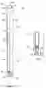 Fig. 04 - Percutaneous vertebral stabilization system