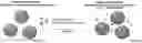 Fig. 01 - Tissue joiner