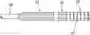Fig. 01 - Fiber tip protective structure with scale indicator