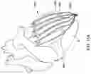 Fig. 12 - MULTI-BALLOON POUCH FORMING DEVICE