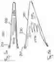 Fig. 06 - Device for providing a sterile limited space for surgery