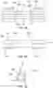 Fig. 03 - Extended buccal tube
