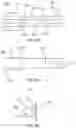 Fig. 05 - Extended buccal tube