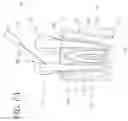 Fig. 07 - APPARATUS AND METHODS FOR TREATING ROOT CANALS OF TEETH