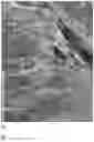 Fig. 13 - APPARATUS AND METHODS FOR TREATING ROOT CANALS OF TEETH