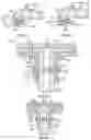 Fig. 19 - Systems and methods for sizing and implanting prosthetic heart valves