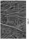 Fig. 11 - DURABLE HIGH STRENGTH POLYMER COMPOSITES SUITABLE FOR PROSTHETIC VALVES