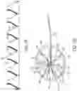 Fig. 08 - METHODS AND DEVICES FOR VENTRICULAR RESHAPING AND HEART VALVE RESHAPING