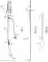 Fig. 12 - METHODS AND DEVICES FOR VENTRICULAR RESHAPING AND HEART VALVE RESHAPING