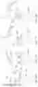 Fig. 13 - Knee prosthesis