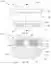 Fig. 20 - ARTIFICIAL INTERVERTEBRAL DISC