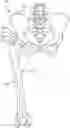 Fig. 01 - PROSTHETIC PLACEMENT TOOL AND ASSOCIATED METHODS