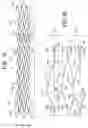 Fig. 02 - Stent with longitudinal variable width struts
