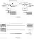 Fig. 09 - ABSORBENT ARTICLES COMPRISING SENSORS