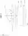Fig. 04 - Combined mobility and stability apparatus