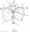 Fig. 02 - Multiple-fill/chamber softgel die