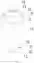 Fig. 04 - Feeding bottle