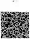 Fig. 02 - Urethane foam for use in impregnating cosmetic composition