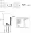 Fig. 02 - OIL-IN-WATER TYPE EMULSION COMPOSITION