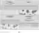Fig. 02 - Peptide compositions and methods for ameliorating skin laxity and body contour