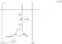Fig. 04 - Cosmetic compositions containing oxazoline functionalized polymers and carboxyl group-containing polymers