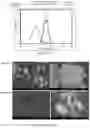 Fig. 09 - Compositions and methods of making brittle-matrix particles through blister pack freezing