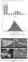 Fig. 22 - Compositions and methods of making brittle-matrix particles through blister pack freezing