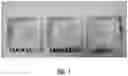 Fig. 02 - PHARMACEUTICAL FORMULATION AND SYSTEM AND METHOD FOR DELIVERY