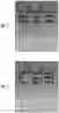 Fig. 03 - PHARMACEUTICAL FORMULATION AND SYSTEM AND METHOD FOR DELIVERY