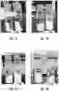 Fig. 06 - PHARMACEUTICAL FORMULATION AND SYSTEM AND METHOD FOR DELIVERY