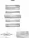 Fig. 05 - Vaccine delivery systems using yeast cell wall particles