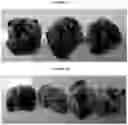 Fig. 07 - Vaccine delivery systems using yeast cell wall particles