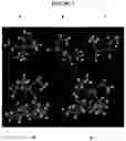 Fig. 09 - Vaccine delivery systems using yeast cell wall particles