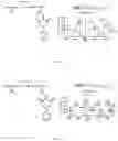Fig. 05 - METHOD FOR COVALENT BOND MODIFYING MAMMALIAN ATG8 HOMOLOGUE