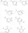 Fig. 16 - METHOD FOR COVALENT BOND MODIFYING MAMMALIAN ATG8 HOMOLOGUE
