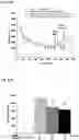 Fig. 15 - Method and composition for decreasing the psychotomimetic side effect and addictive disorder of ketamine