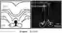 Fig. 01 - Method and pharmaceutical composition for treating depression