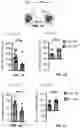 Fig. 03 - Method and pharmaceutical composition for treating depression