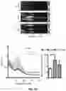 Fig. 10 - Method and pharmaceutical composition for treating depression