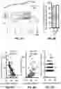 Fig. 14 - Method and pharmaceutical composition for treating depression